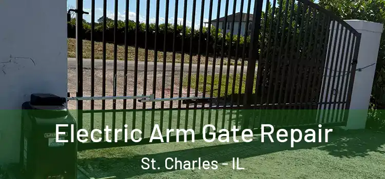 Electric Arm Gate Repair St. Charles - IL