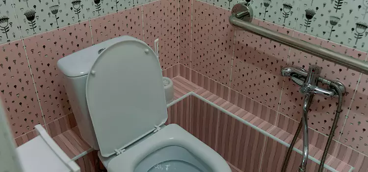 Meeting Diverse Needs With Accessible Restroom Solutions in St. Charles, IL