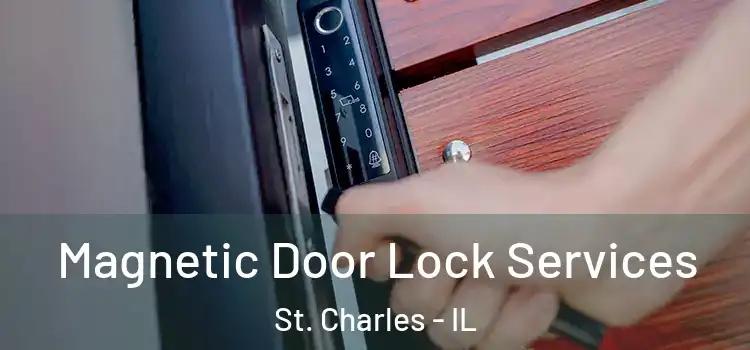 Magnetic Door Lock Services St. Charles - IL