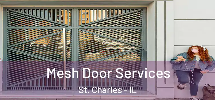 Mesh Door Services St. Charles - IL